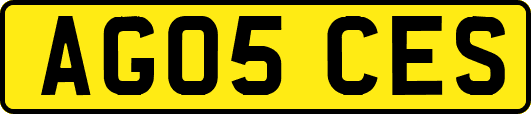 AG05CES