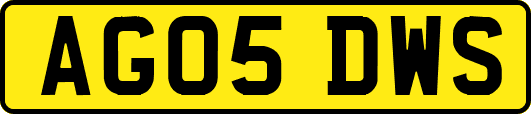 AG05DWS