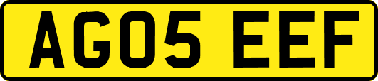 AG05EEF