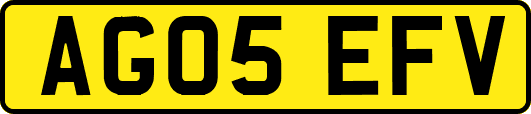 AG05EFV