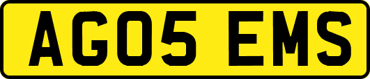 AG05EMS