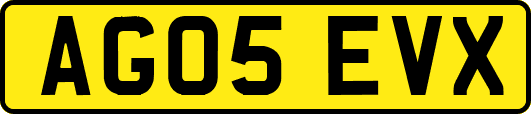 AG05EVX