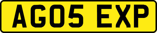 AG05EXP