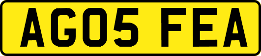 AG05FEA