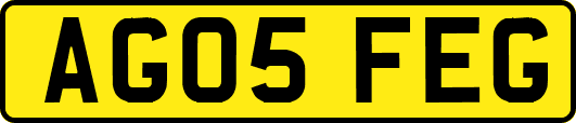AG05FEG