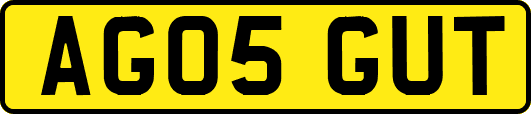 AG05GUT