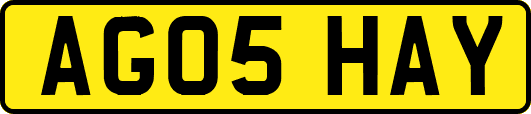 AG05HAY