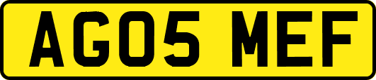 AG05MEF
