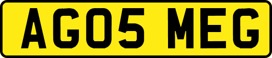 AG05MEG