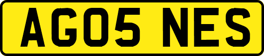AG05NES
