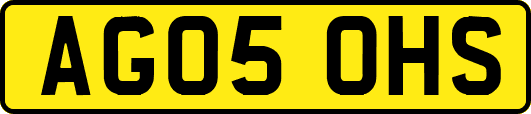 AG05OHS