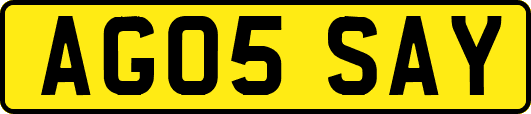 AG05SAY