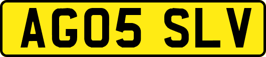 AG05SLV
