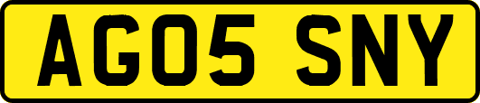 AG05SNY