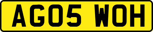 AG05WOH