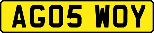 AG05WOY