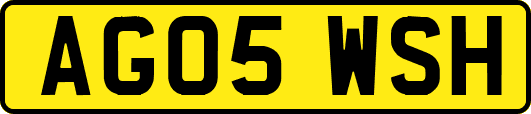 AG05WSH