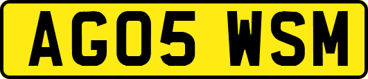 AG05WSM