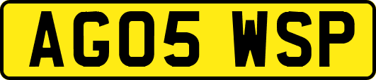 AG05WSP