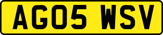 AG05WSV