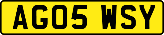 AG05WSY