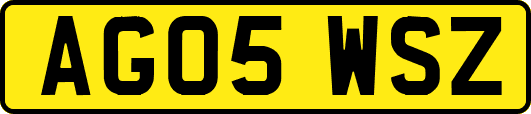 AG05WSZ