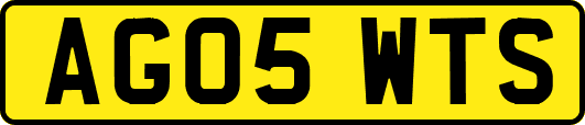 AG05WTS