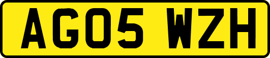 AG05WZH