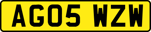 AG05WZW