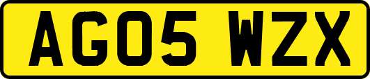 AG05WZX