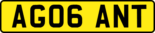 AG06ANT