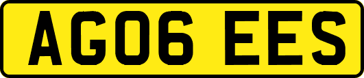 AG06EES