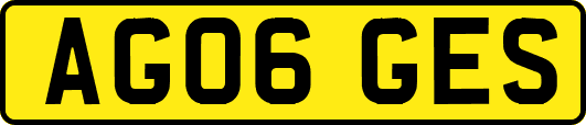 AG06GES