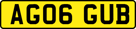 AG06GUB