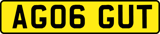 AG06GUT