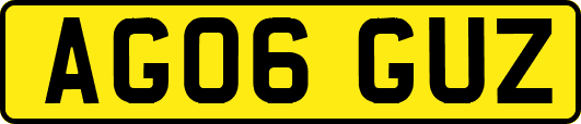 AG06GUZ
