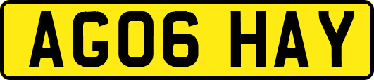 AG06HAY