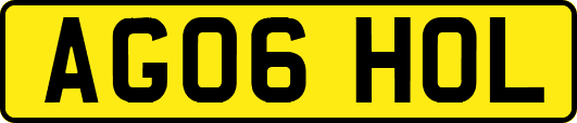 AG06HOL