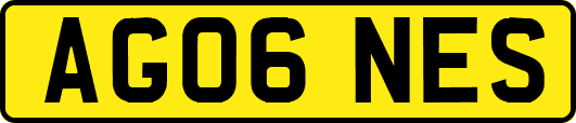AG06NES
