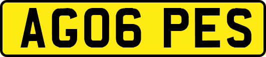 AG06PES