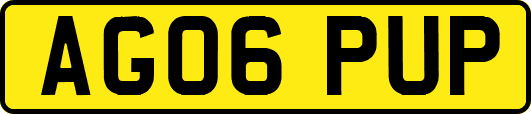 AG06PUP