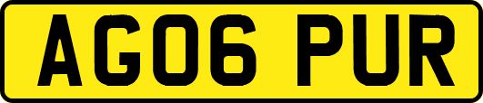 AG06PUR