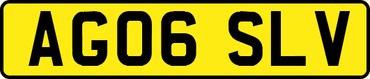 AG06SLV