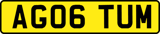 AG06TUM