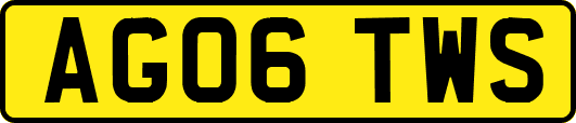 AG06TWS