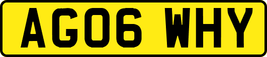 AG06WHY