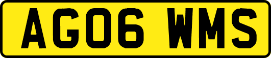 AG06WMS