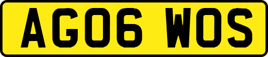 AG06WOS