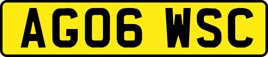 AG06WSC