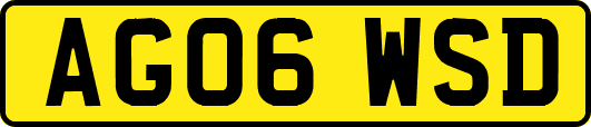 AG06WSD